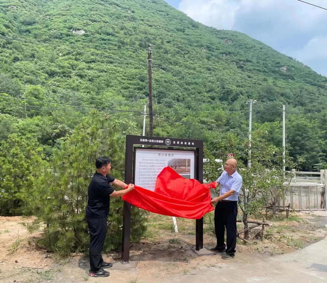 首都綠化委員會(huì)辦公室義務(wù)植樹(shù)處到京西林場(chǎng)調(diào)研義務(wù)植樹(shù)盡責(zé)創(chuàng)新開(kāi)展情況